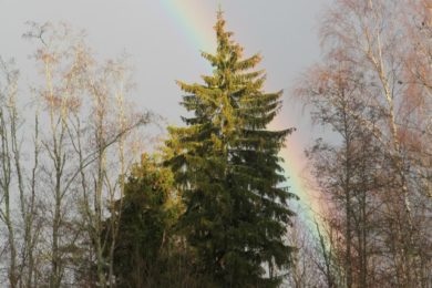 Keskkonnaamet uuendas veebiportaali_Foto_Vello Veskimäe