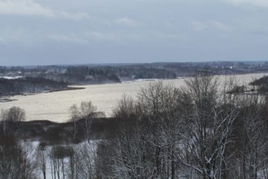Eile lasti Viljandi järve 50 000 eurot väärt kala_Foto_Vello Veskimäe