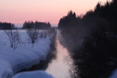 Kaitsealade loomine muutub selgemaks ja põhjalikumaks_Foto_Vello Veskimäe