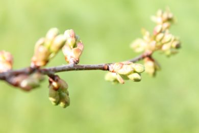 img_3631-1024×682