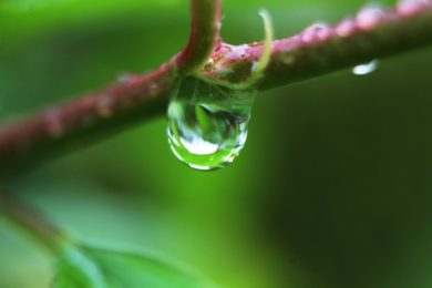 Kevadväsimusele vastu organismipuhastusega_Foto_Riina Vaikmaa