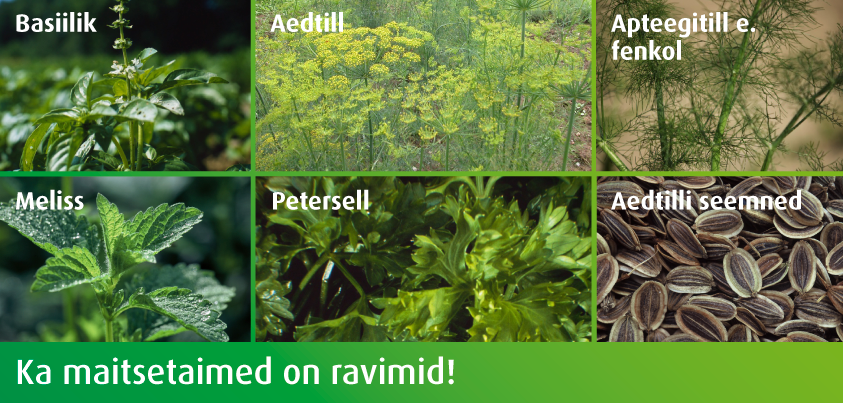 Ka maitsetaimed on ravimid!