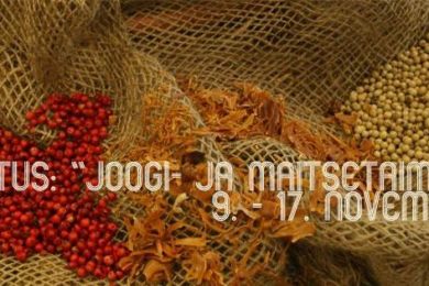 Tallinna Botaanikaaed kutsub näitusele Joogi- ja maitsetaimed