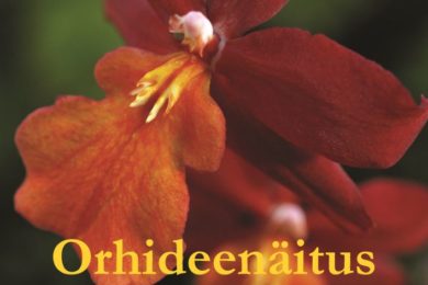 Tallinna Botaanikaaias toimub eksootiliste orhideede näitus