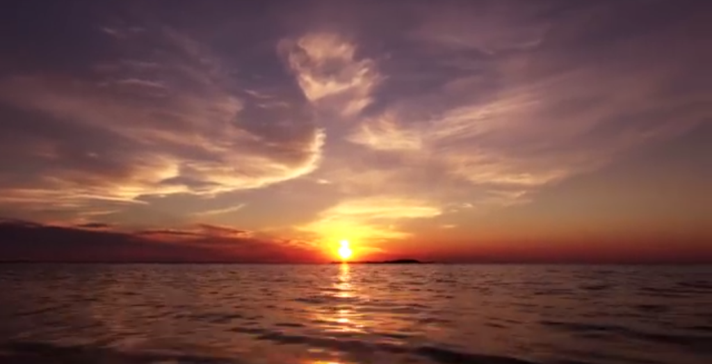 VIDEO! Tee seda, mida armastad
