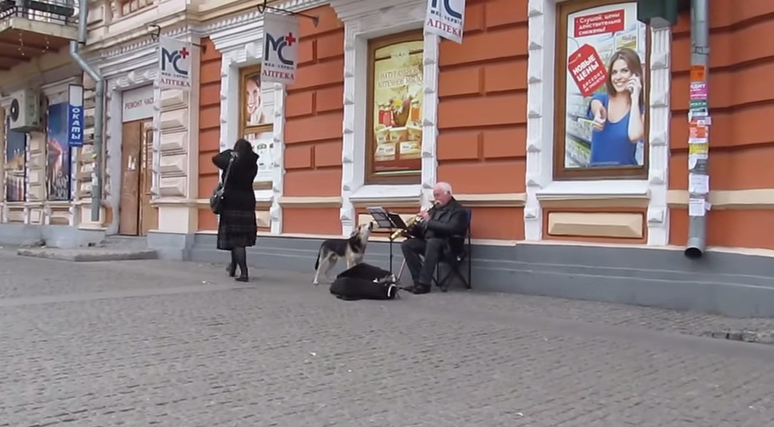 VAATA LIIGUTAVAT VIDEOT Head teod sünnivad sõnadeta