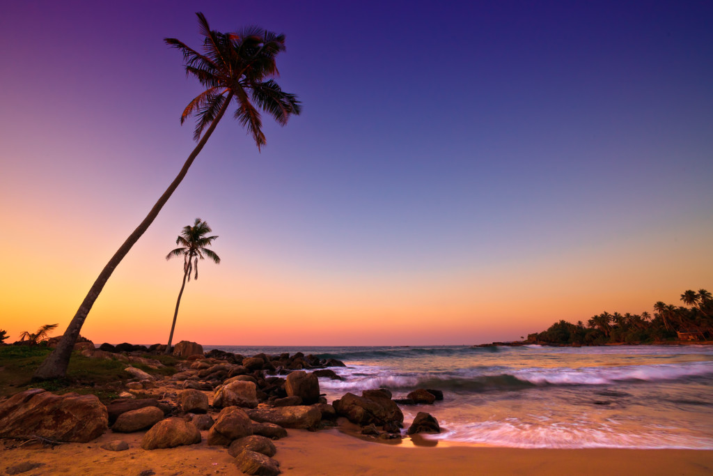 Sunset on Palm Beach