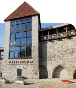neitsitorn-259×300