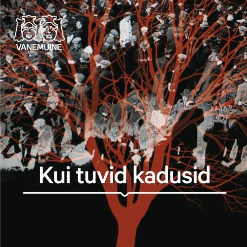 Kui tuvid kadusid