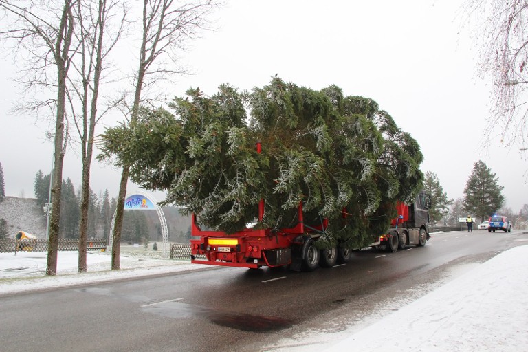 Talvepealinna Otepääle saabus jõulupuu