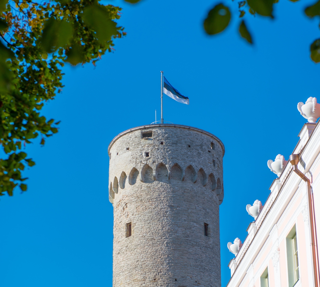 EESTI LIPU AUKS! Eesti lipupäeval käis Pika Hermanni tornis enam kui pooltuhat inimest