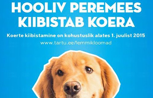 koerad