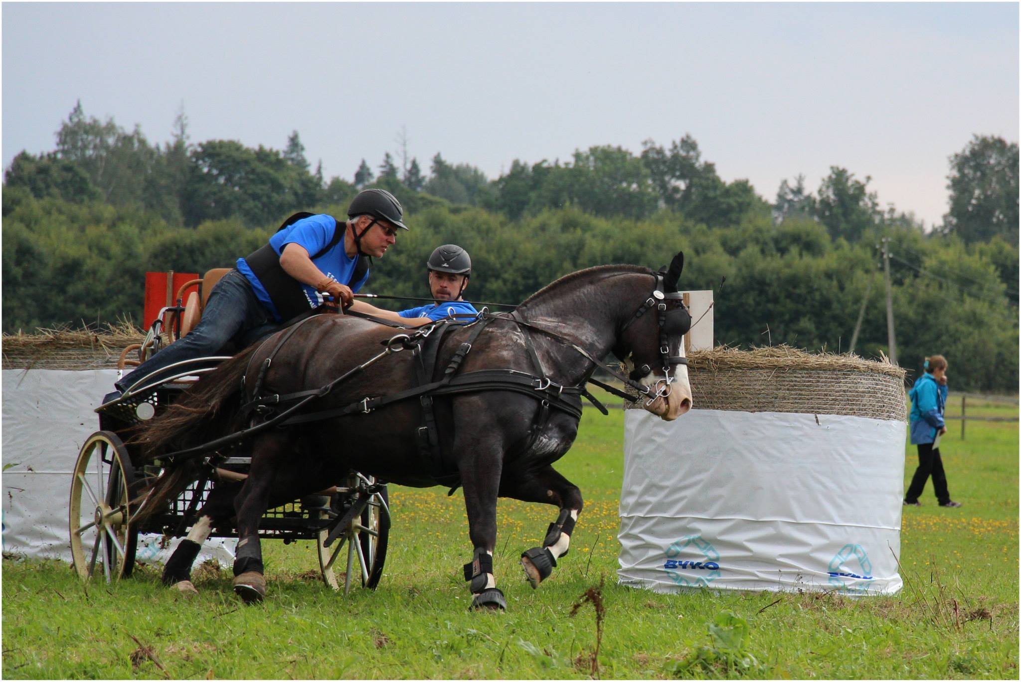 Ökofestivali perepäeval saab kogeda põnevat hobuste rakendispordi võistlust