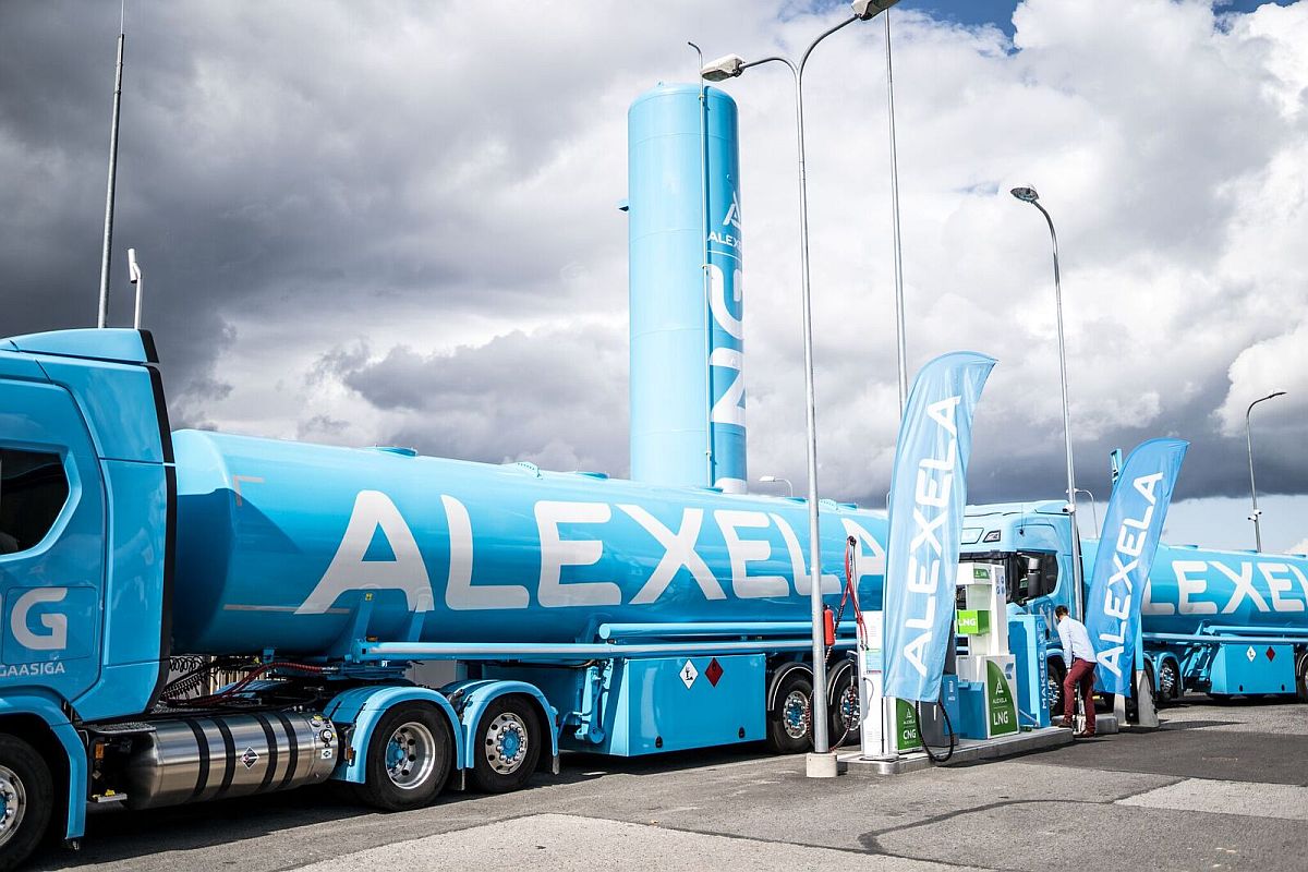 alexela-3